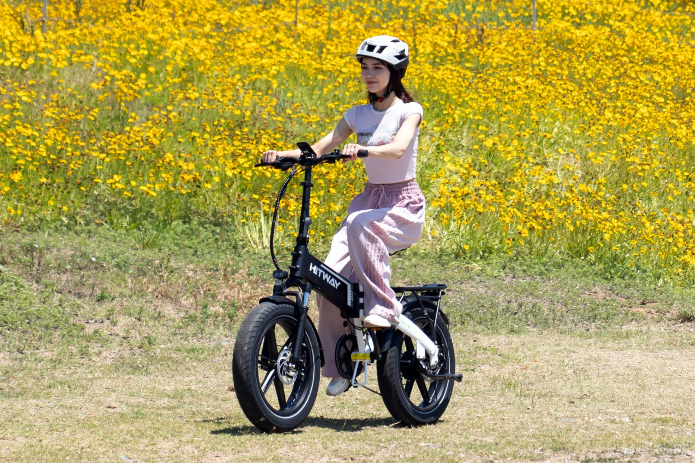 BK10S Folding Electric Bike - Image 10