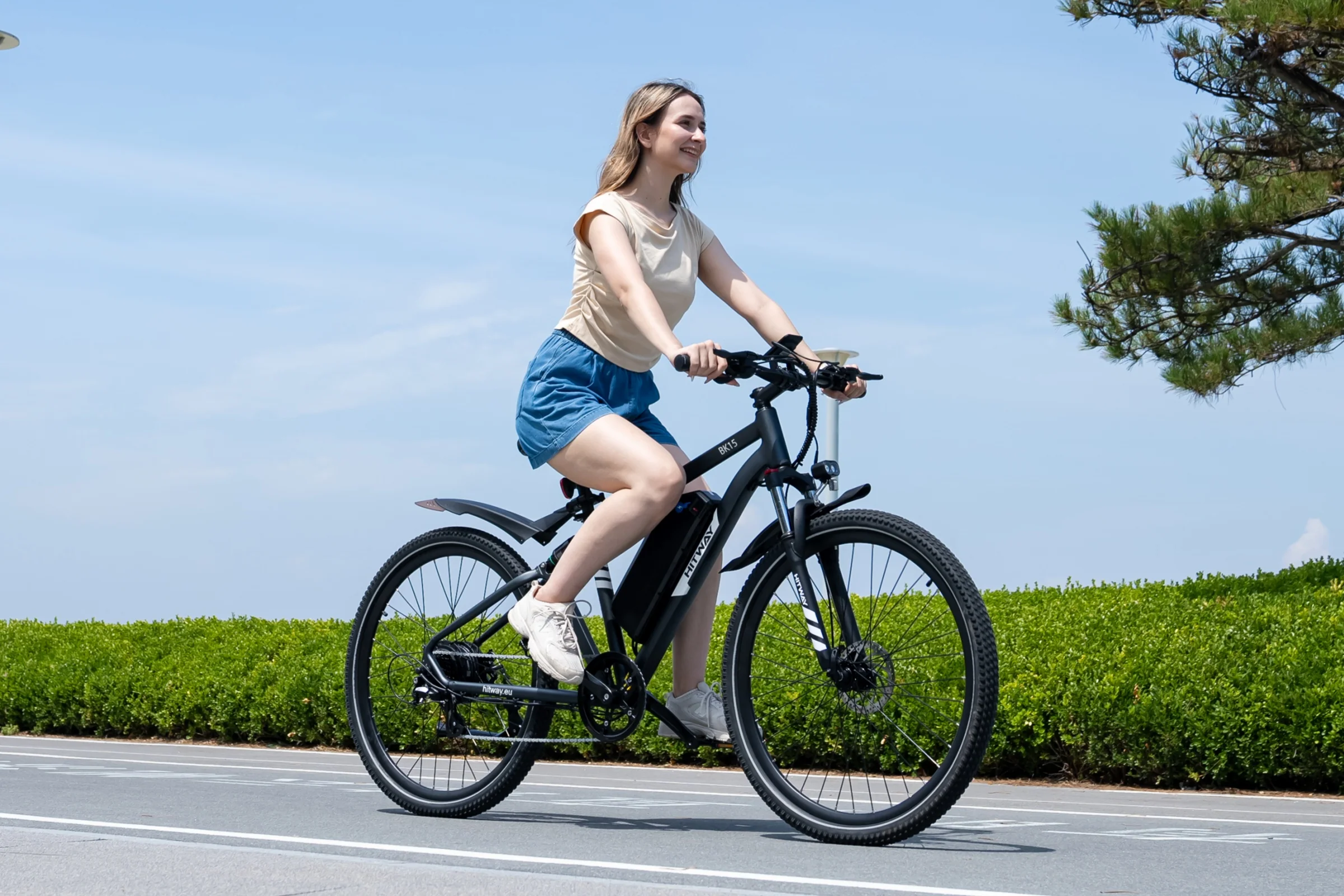 BK15PL 29 inch Electric Bike - Image 8